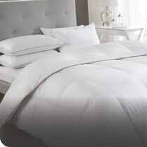 Winter Duvets