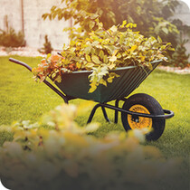 Wheelbarrows