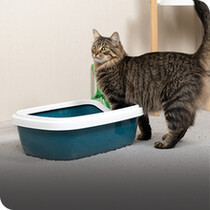 Cat Litter, Trays & Loos