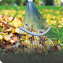 Rakes, Hoes & Cultivators