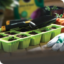 Plastic Pots & Planters