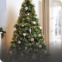 7ft Christmas Trees