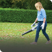 Leaf Blowers & Vacs