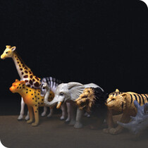 Wild Animals