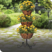 Decorative Planters