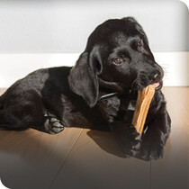 Puppy Food & Treats