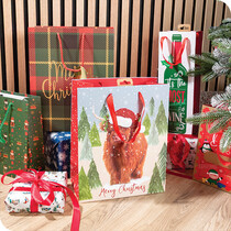Christmas Gift Bags & Boxes