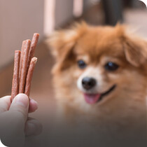 Dog Treats