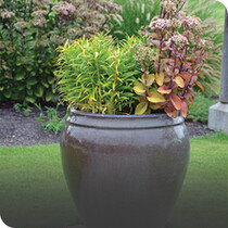 Ceramic & Stone Pots & Planters
